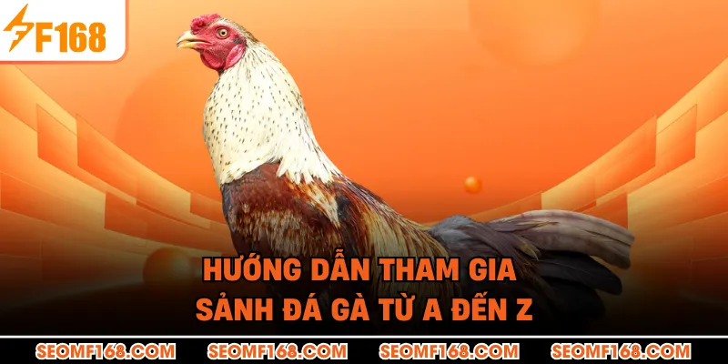 Hướng dẫn tham gia sảnh đá gà từ A đến Z